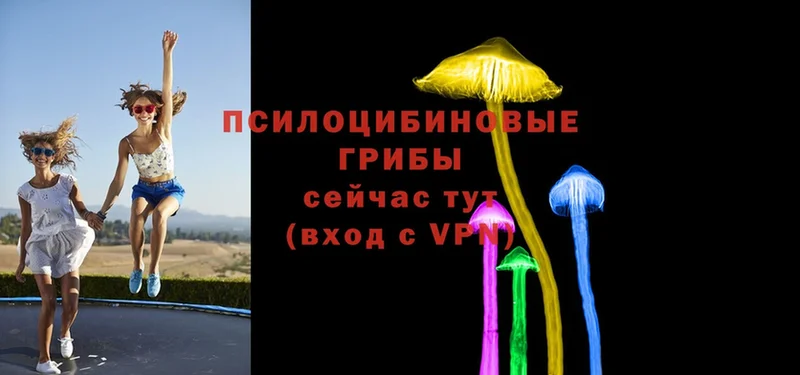 хочу наркоту  OMG маркетплейс  Псилоцибиновые грибы Magic Shrooms  Норильск 